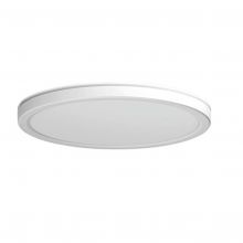 Panka_60 plafon ścienny 2800K/4000K/6000K 45W 5400lm biały